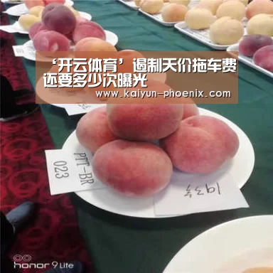 ‘开云体育’遏制天价拖车费还要多少次曝光(图2) 开云篮球